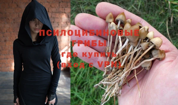 каннабис Алексеевка